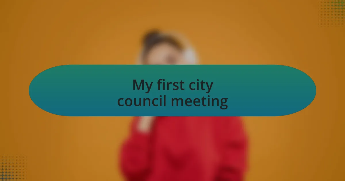 My first city council meeting